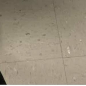 Meet your Posher, Anna rhea